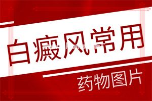 白斑吃什么(白点癫风早期如何治疗)
